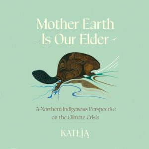 The cover has an artistic illustration of a beaver. The background is mint green.