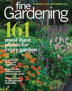 image of magazine cover