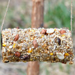 image of bird seed covering a paper roll hanging in a yard