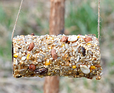 image of bird seed covering a paper roll hanging in a yard
