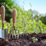 image of a trowel and a gardening hand fork in the soil