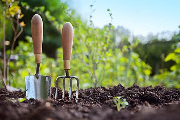 image of a trowel and a gardening hand fork in the soil