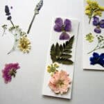 image of pressed flowers on a table and on two bookmarks