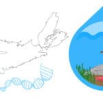 image of an outline of the province of Nova Scotia and a large water drop containing sealife