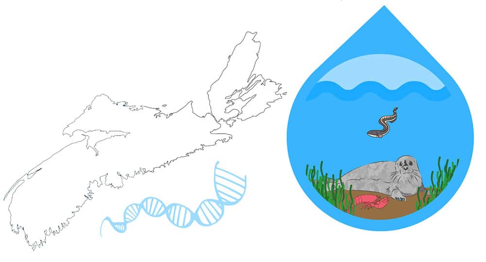 image of an outline of the province of Nova Scotia and a large water drop containing sealife