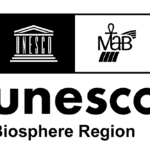 UNESCO logo