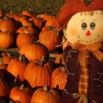 image of a scarecrow in a pumpkin patch.