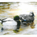 image of a painting of two ducks floating on the water.