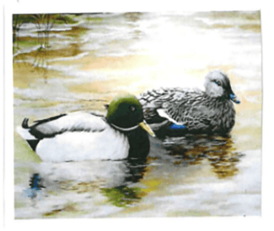 image of a painting of two ducks floating on the water.