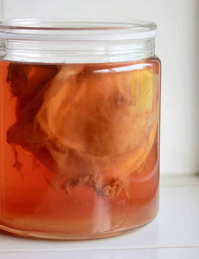 image of a glass of brown kombucha