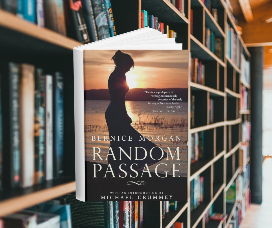 The cover features the silhouette of a young woman with an ocean sunset behind her. Behind the cover are shelves of books.