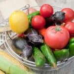 A basket of freshly picked vegetables. Includes tomatoes, eggplants, cucumbers, peppers, and a lemon.