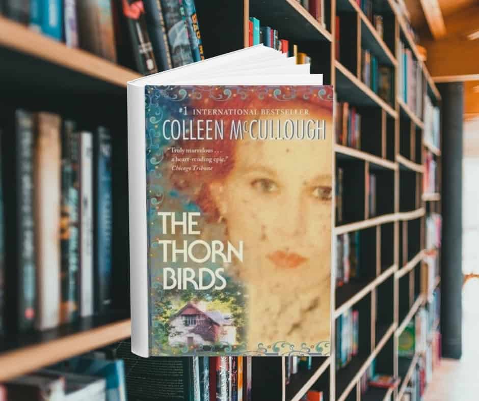 The cover features a woman with red hair flowing behind her. In the bottom corner there is an image of a house. Behind the cover are shelves of books.