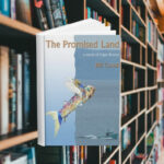 The cover features a fish with rainbow scales and wings flying through the air. Behind the cover are shelves of books.