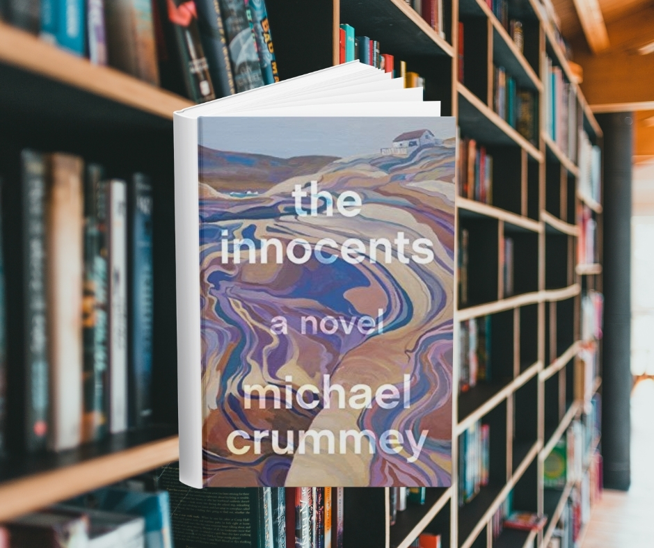 The cover features a marbling of different colors as the ground. In the distance is a small house. Behind the cover are shelves of books.